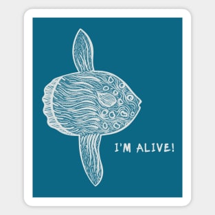 Mola Mola or Ocean Sunfish - I'm Alive! - meaningful fish design Magnet